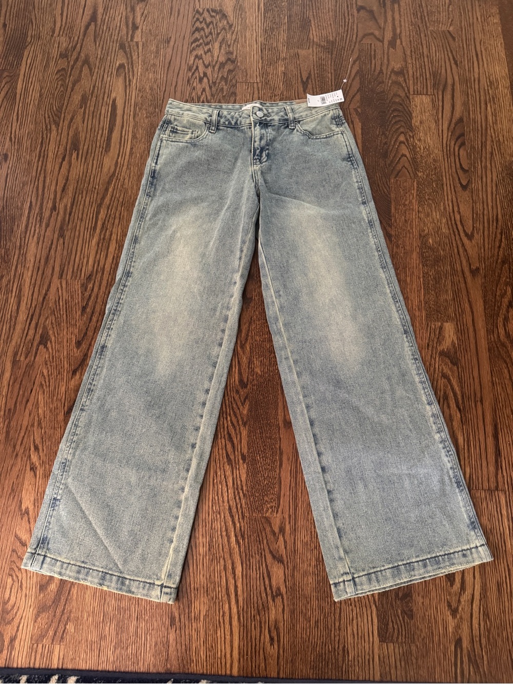 NWT PacSun Casey Low Rise Baggy Jean Size 27
